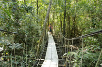 Guatemala, Rio Dulce, Hacienda Tijax Jungle Lodge von Danita Delimont