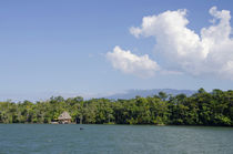 Guatemala, Rio Dulce National Park by Danita Delimont