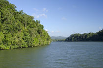 Guatemala, Rio Dulce National Park by Danita Delimont