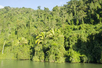 Guatemala, Rio Dulce National Park von Danita Delimont