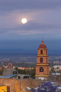 Mexico, San Miguel de Allende von Danita Delimont