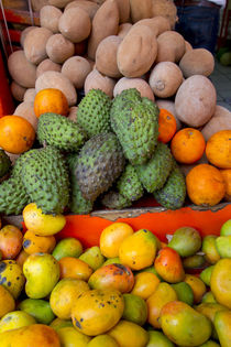 Fruit and vegetable market, Vallarta Food Tours, El Pitillal... by Danita Delimont