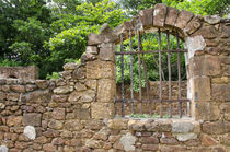 French Guiana, Salvation Islands von Danita Delimont