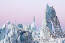 USA, Alaska, Glacier Bay National Park von Danita Delimont