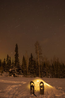 USA, Alaska, Fairbanks von Danita Delimont