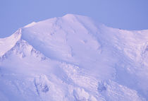 USA, Alaska, Mount McKinley, Denali National Park by Danita Delimont