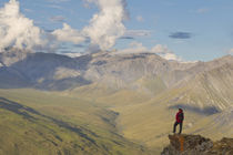 USA, Alaska, Arctic National Wildlife Refuge by Danita Delimont