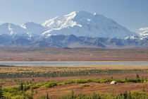 Camper and Mt von Danita Delimont