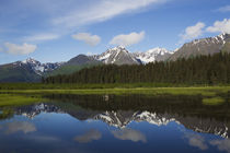 Kenai Mountain Range Reflections by Danita Delimont