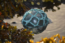 USA, Southeast Alaska near Ketchikan, Japanese glass fishing float. by Danita Delimont