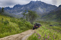 USA, Alaska, Hatchers Pass by Danita Delimont