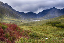 USA, Alaska, Hatchers Pass Lodge. von Danita Delimont
