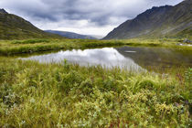 USA, Alaska, Hatchers Pass by Danita Delimont