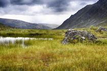 USA, Alaska, Hatchers Pass von Danita Delimont