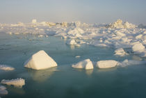 Chukchi Sea, off shore from Barrow, Alaska von Danita Delimont