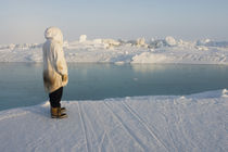 Chukchi Sea, off shore from Barrow, Alaska by Danita Delimont