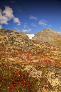 Autum Color in the Wrangell-St von Danita Delimont