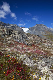 Autum Color in the Wrangell-St by Danita Delimont