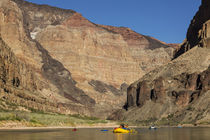 USA, Arizona, Grand Canyon National Park von Danita Delimont