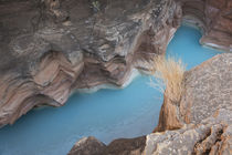 USA, Arizona, Grand Canyon National Park von Danita Delimont