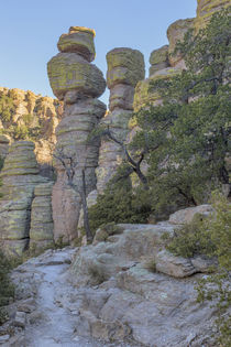 USA, Arizona, Chiricahua National Monument by Danita Delimont