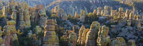 USA, Arizona, Chiricahua National Monument by Danita Delimont