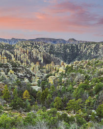 USA, Arizona, Chiricahua National Monument von Danita Delimont