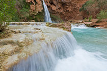 Havasu Falls on the Havasupai Reservation in Arizona, USA von Danita Delimont