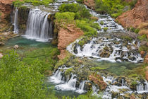 Navajo Falls on the Havasupai Reservation in Arizona, USA von Danita Delimont