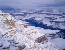 Snow covered Grand Canyon from along the South Rim, Grand Ca... by Danita Delimont