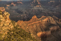 Sunrise from Yaki Point Grand Canyon, Arizona, USA by Danita Delimont