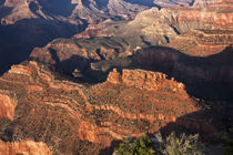 USA, Arizona, Grand Canyon, Yaki Point by Danita Delimont