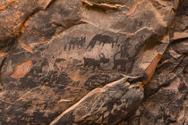 USA, Arizona, Coconino National Forest, Palatki Ruin, Pictographs. von Danita Delimont