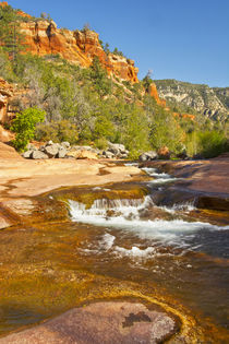 Oak Creek, Slide Rock State Park, Sedona, Arizona, USA. von Danita Delimont