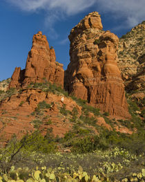 Thunder Mountain Trail, Thunder Mountain, Coffee Pot Rock, S... von Danita Delimont