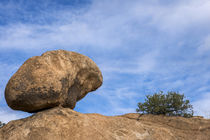 USA, Arizona, Dragoon, Triangle T Historic Ranch by Danita Delimont