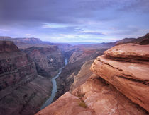 Colorado River at Toroweap Overlook, Grand Canyon National P... von Danita Delimont