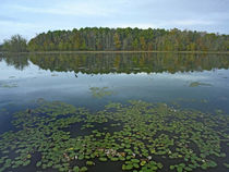 Lake Bailey, Petit Jean State Park, Arkansas, USA by Danita Delimont