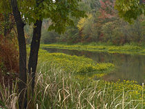 Wilton Landing at Millwood Lake, Arkansas, USA by Danita Delimont