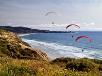 USA, California, La Jolla von Danita Delimont