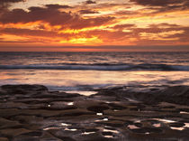 USA, California, La Jolla von Danita Delimont