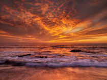 USA, California, La Jolla von Danita Delimont