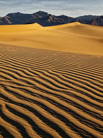 USA, California, Death Valley National Park, Early morning s... von Danita Delimont