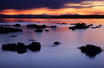 USA, California, Lee Vining, Sunrise at Mono Lake's Black Point by Danita Delimont