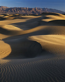 USA, California, Death Valley National Park, View of sand du... von Danita Delimont