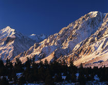 USA, California, Wheeler Crest and Mt von Danita Delimont