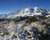 USA, California, Eastern Sierra Range, View of snow-covered ... by Danita Delimont