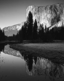 USA, California, Yosemite National Park, El Capitan reflecte... by Danita Delimont