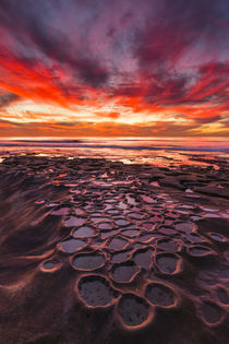 Amazing sunset at the tide pools in La Jolla, CA von Danita Delimont