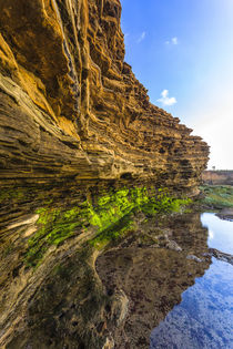 Details and reflection of the cliffside near Sunset Cliffs i... by Danita Delimont